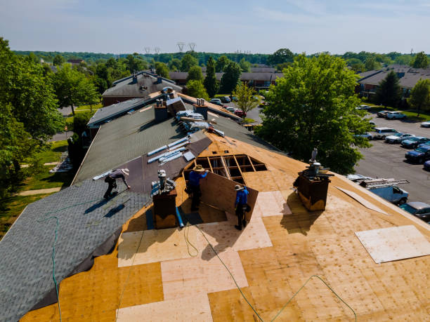 24/7 Emergency Roof Replacement experts in Ripley, WV